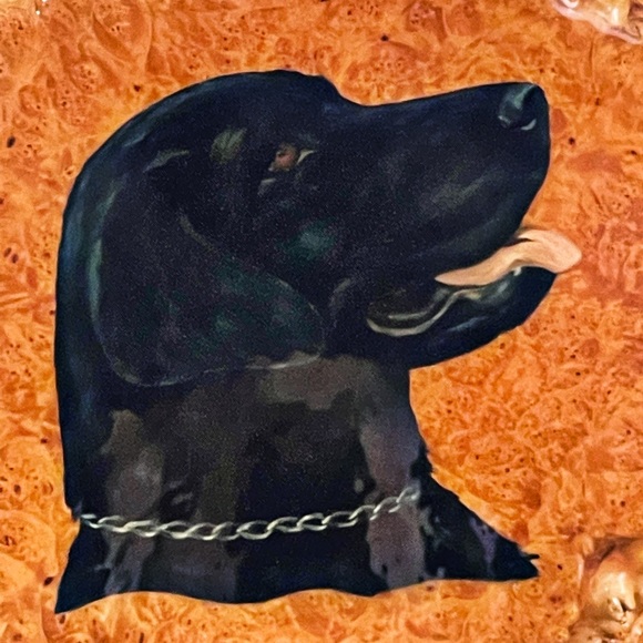 Birds Eye Maple Burl Wood Slab Raw Edge Lab Painting Varnish Wall Art Oregon - Picture 2 of 12